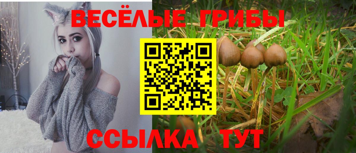 Галлюциногенные грибы Cubensis  Вход с VPN  Рыбинск 